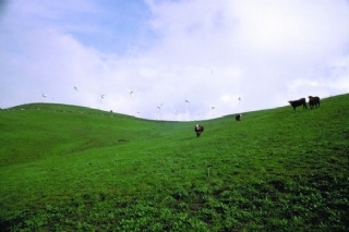 山東工業(yè)污染處理